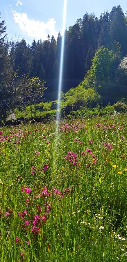 Lupshalte Villa Wassen Dış mekan fotoğraf